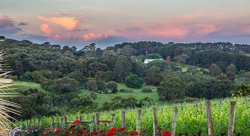 Paringa Estate | Halliday Wine Companion